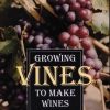 Growing Vines To Make Wines
